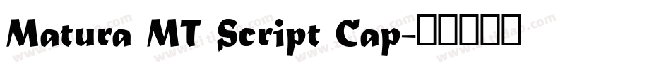 Matura MT Script Cap字体转换